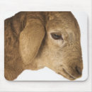 Search for lamb mouse mats Cute