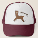 Search for alpacas hats Llama