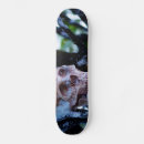 Search for frost skateboards Snow