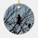 Search for crow christmas tree decorations Bird