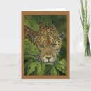 Search for jaguars cards Wildlife
