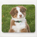Search for aussie mouse mats Puppy