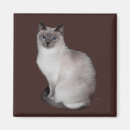 Search for siamese magnets Pets