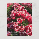 Search for marks postcards Red