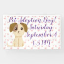 Search for adoption signs Cute
