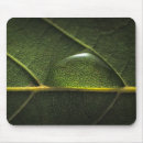 Search for veins mouse mats Botanical