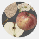 Search for apple kitchen stickers Food