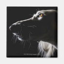 Search for portraits magnets Profile