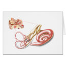 Search for human ear postcards Structure