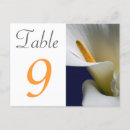 Search for calla horizontal postcards Flower