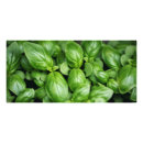 Search for herbs and spices posters Garden