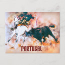 Search for bullfighter postcards Vintage