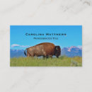 Search for buffalo business cards Bison