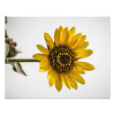 Search for flora fauna posters Plants