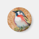 Search for vintage bird magnets Red