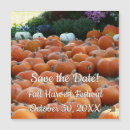Search for harvest save the dates Pumpkins