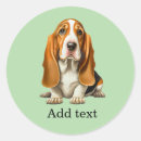 Search for basset hound stickers Animal