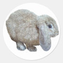 Search for lops stickers Holland