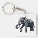 Search for digital animals square key rings Illustration