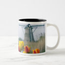 Search for windmill mugs Colourful