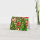 Search for bumblebees cards Photography