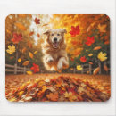 Search for piles mouse mats Dog