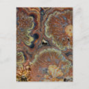 Search for macro vertical postcards Gold