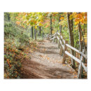 Search for wood fence posters Nature