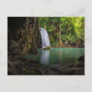 Search for rainforest postcards Thailand