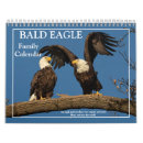 Search for bald eagle calendars Nature