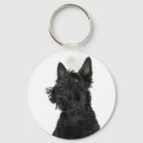 Search for scottish terrier key rings Pet