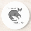 Search for funny cat dog coasters Cats