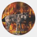 Search for surviving stickers For kids
