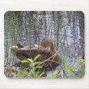 Search for reeds mouse mats Nature