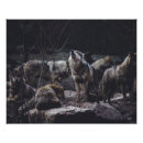 Search for wolf pack posters Wildlife