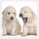 Search for weeks stickers Photography