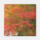 Search for fall magnets Aerial