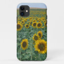 Search for provence iphone cases Flower