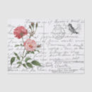 Search for rose box postcards Flower