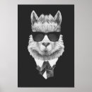 Search for funny llama posters Cool