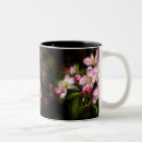 Search for michigan state mugs Flower