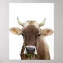 Search for bovine posters Animal