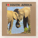 Search for elephant coasters Nature