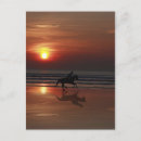 Search for shadows postcards Waves