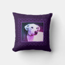 Search for labrador cushions Puppy