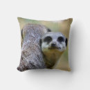 Search for meerkat cushions Mongoose
