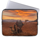 Search for camel desert cases Nature