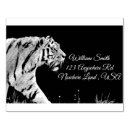 Search for tiger rubber stamps Cats