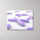 Search for developer canvas prints Microbiology