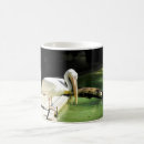 Search for natural history mugs Wildlife